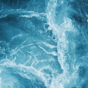 Meet your Posher, Kiki